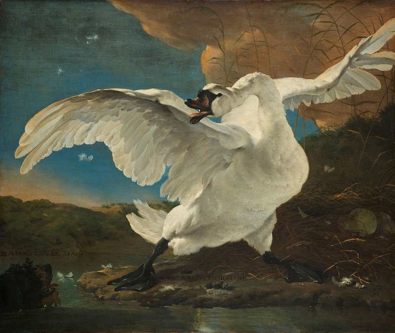 The Threatened Swan (Tehdit Altındaki Kuğu), Rijkmuseum Amsterdam