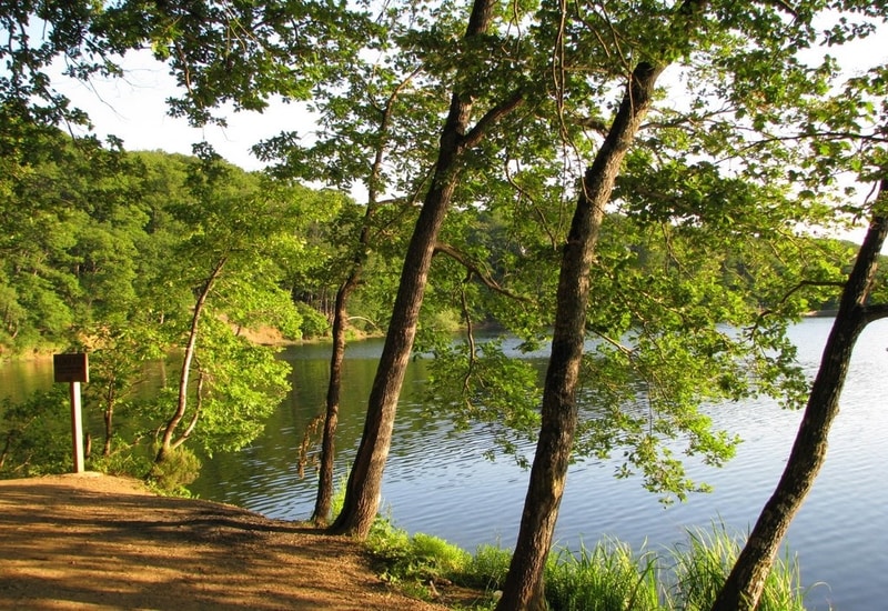 Park içerisindeki göl