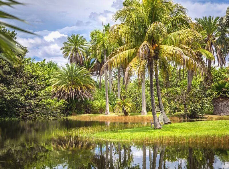 Miami Gezi Rehberi, Fairchild Tropik Botanik Bahçesi