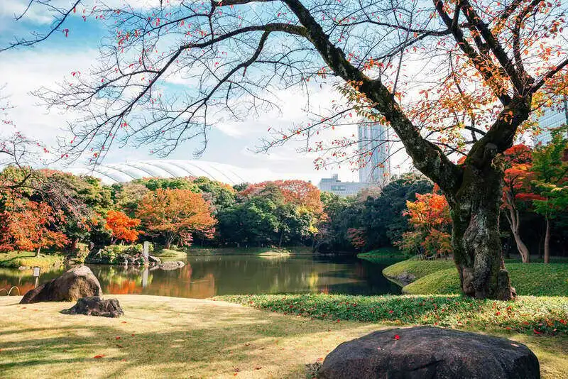 Koishikawa Korakuen Bahçesi, Tokyo