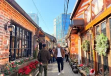 Seul’de Nerede Kalınır ? & En İyi Mahalleler Seul'de nerede kalınır