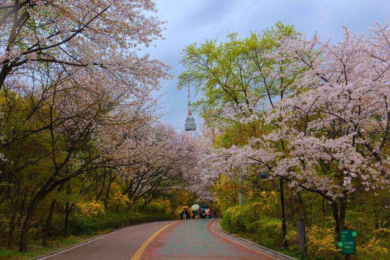 Namsan Park Seul, Güney Kore
