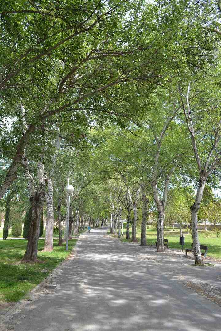 Parque Lo Morant, Alicante